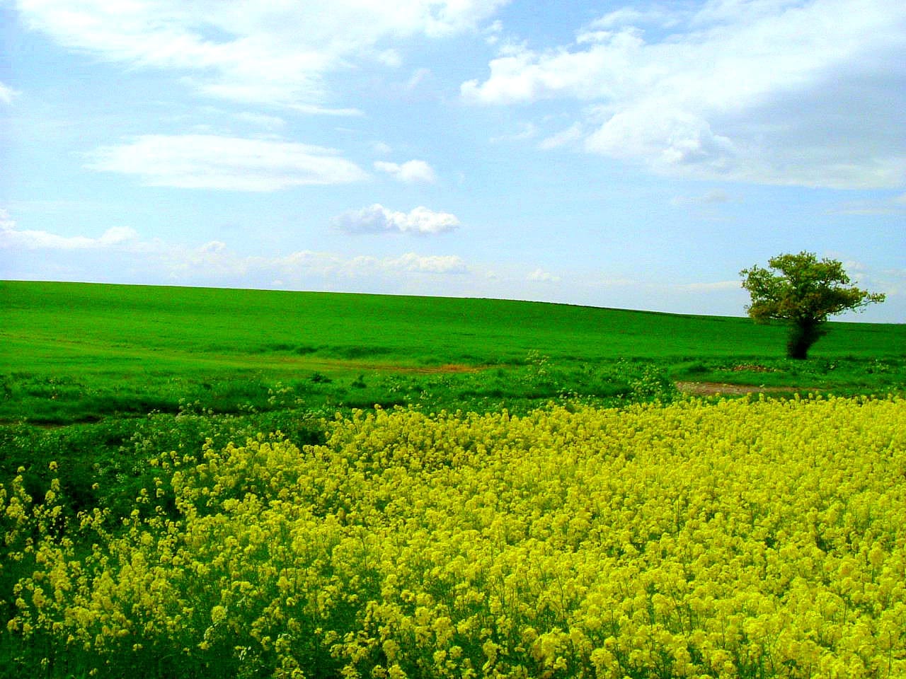 Environment Secretary opens a £40 million fund to boost farm productivity